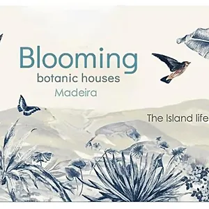 Vakantiehuis Blooming Botanic, Estreito Da Calheta